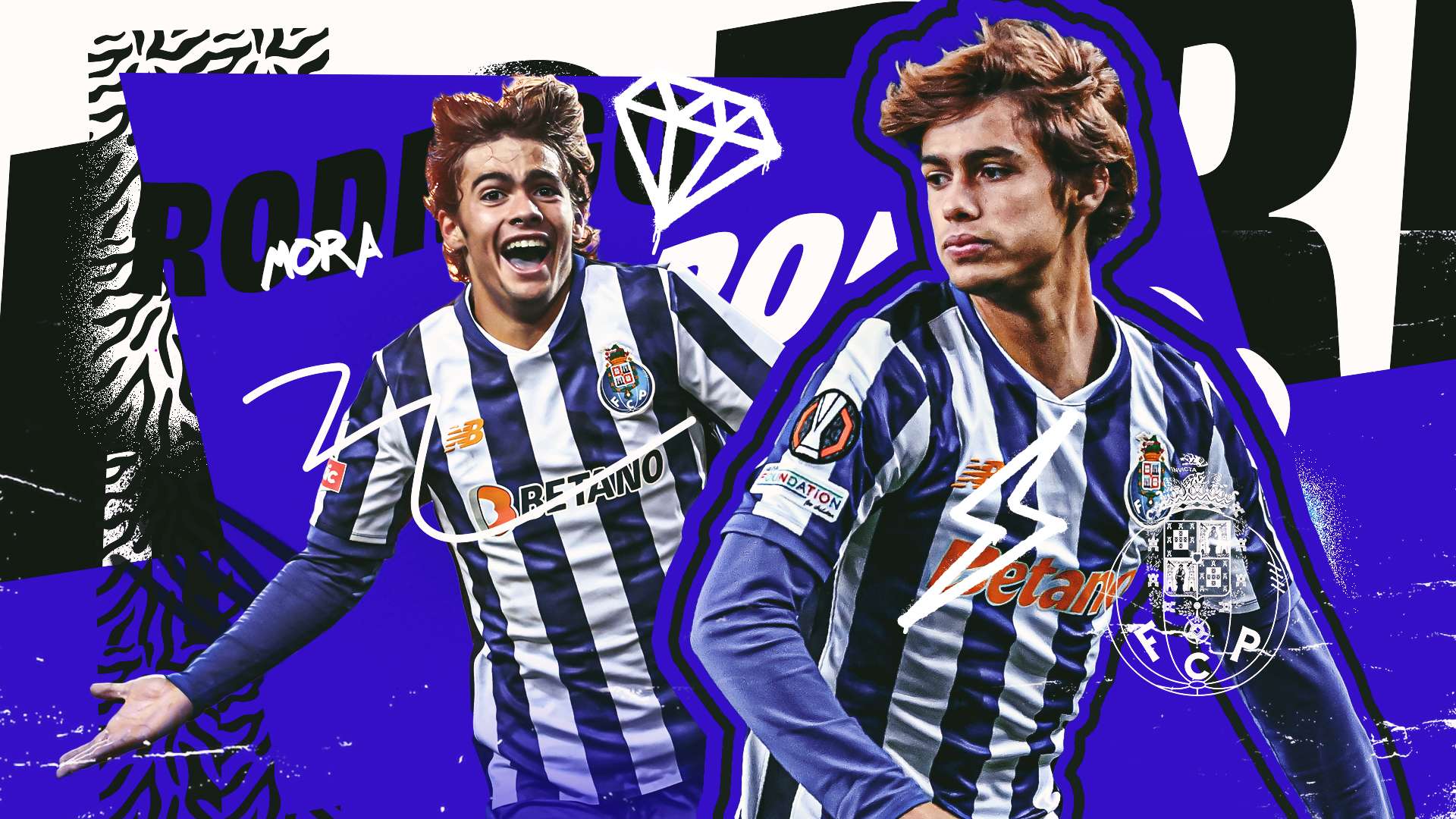 本文期待能 本文期待能