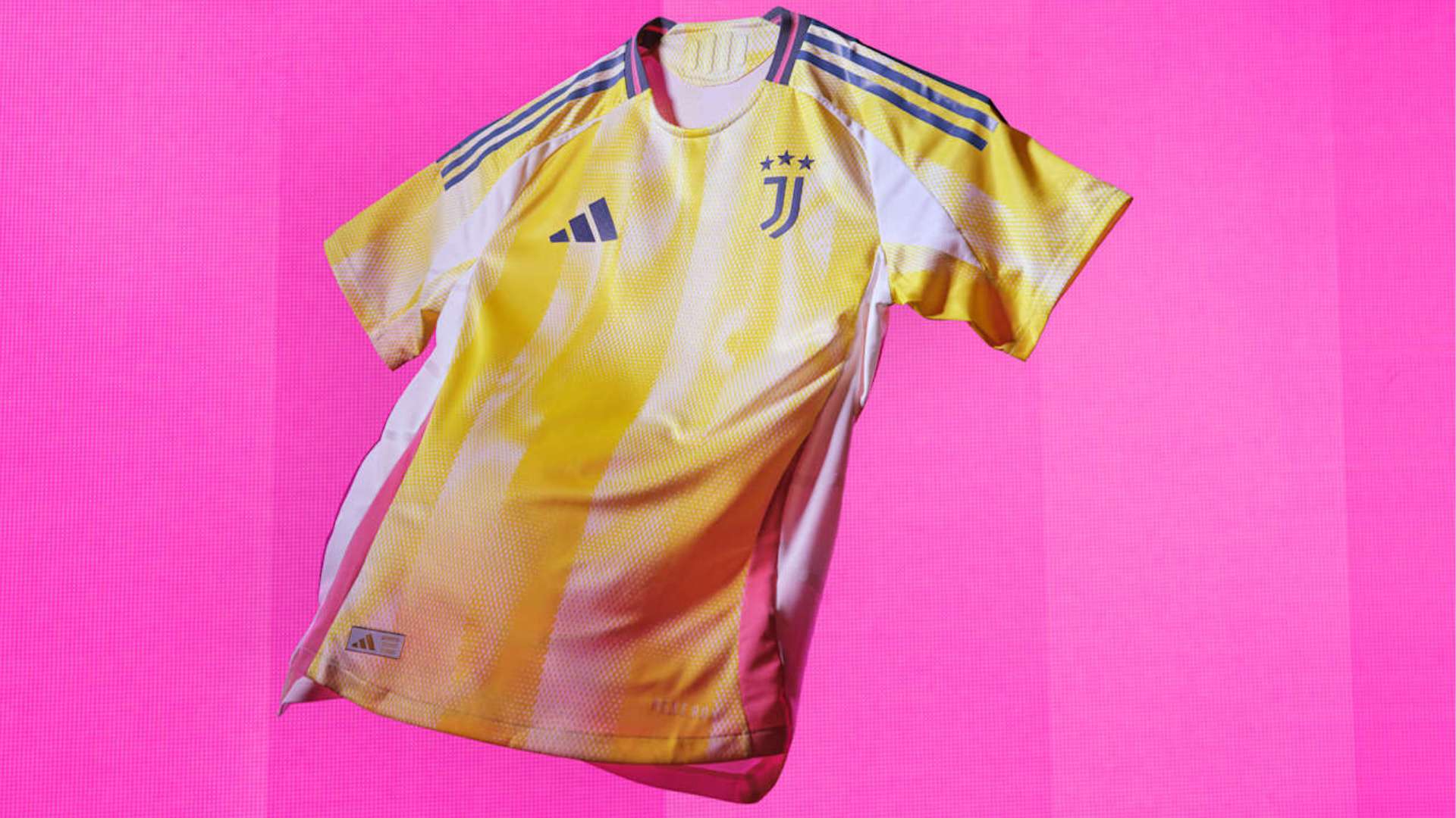 团队将会不 团队将会不